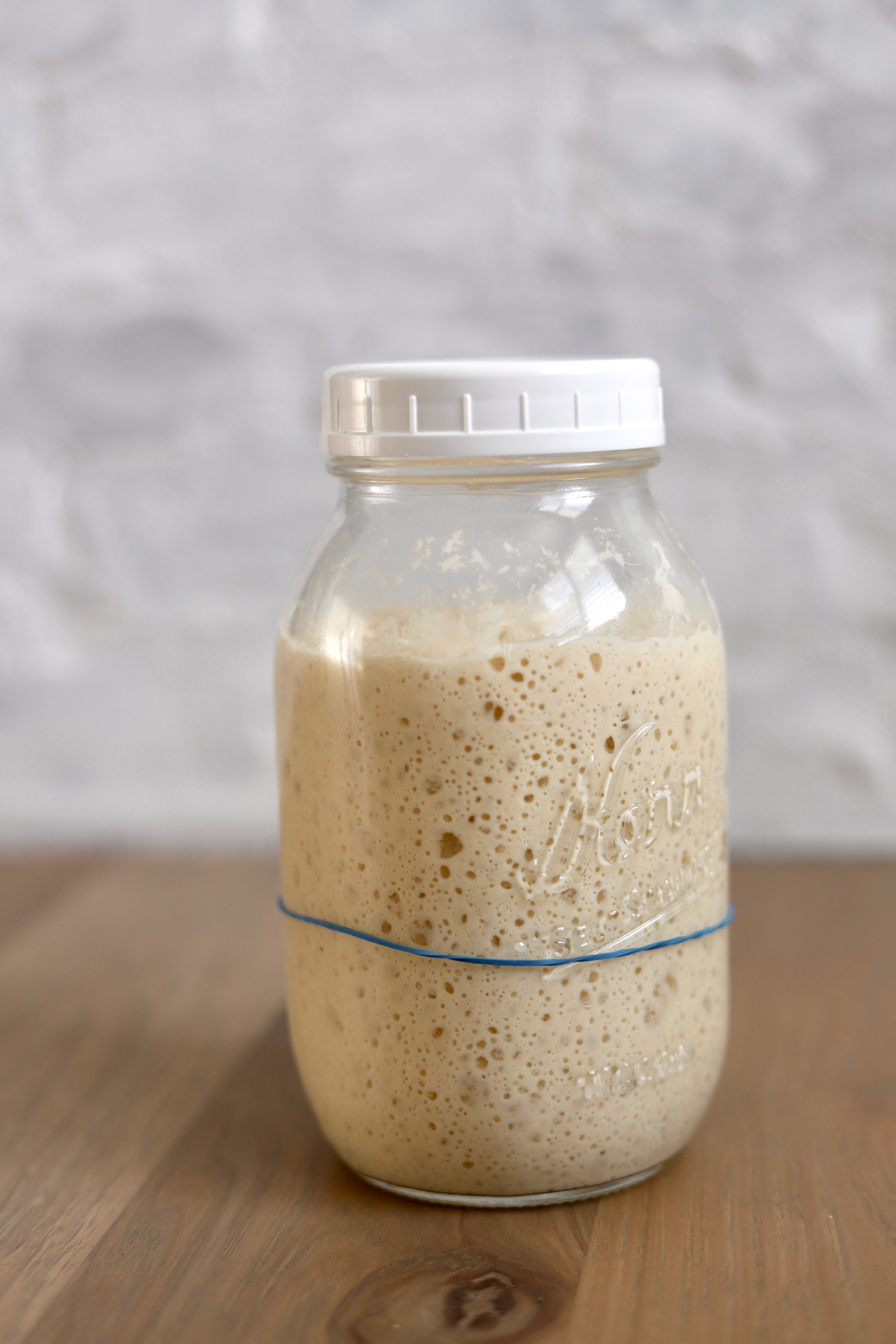 How Should Sourdough Starter Look GKAAJE
